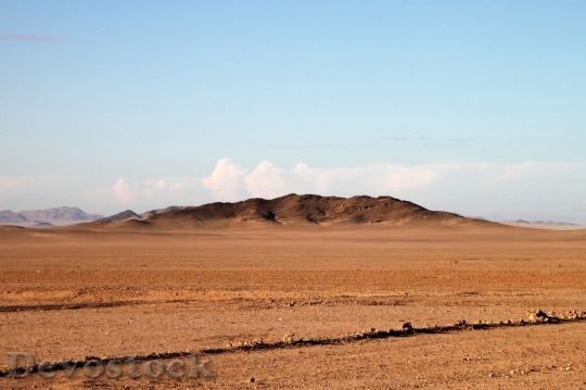 Devostock Desert beautiful image  (370)