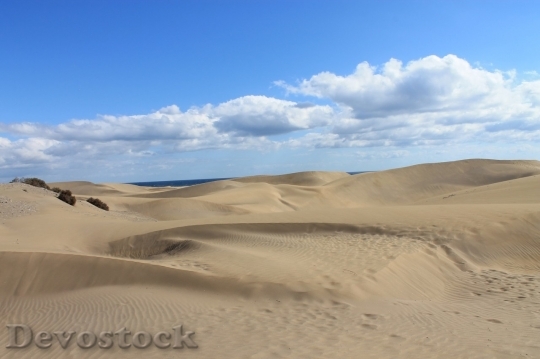 Devostock Desert beautiful image  (383)
