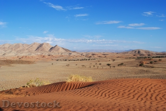 Devostock Desert beautiful image  (414)