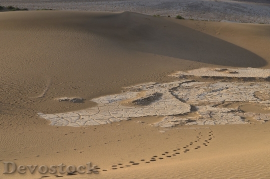 Devostock Desert beautiful image  (430)