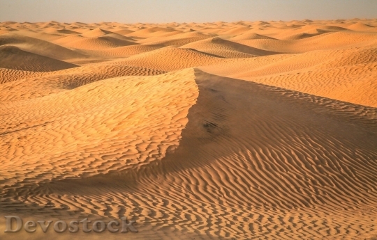 Devostock Desert beautiful image  (450)