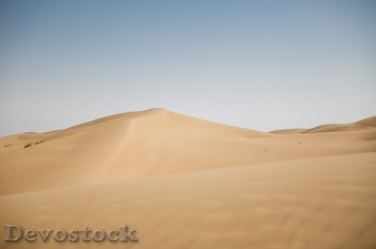 Devostock Desert beautiful image  (485)