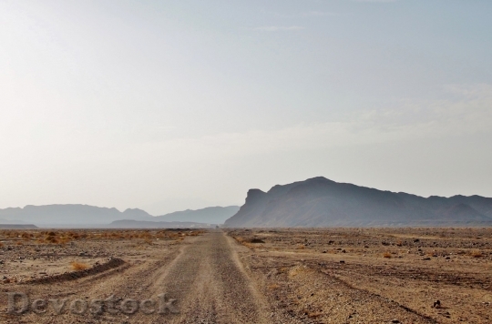 Devostock Desert beautiful image  (488)