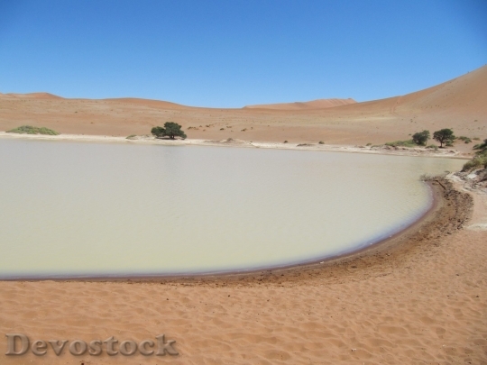 Devostock Desert beautiful image  (62)