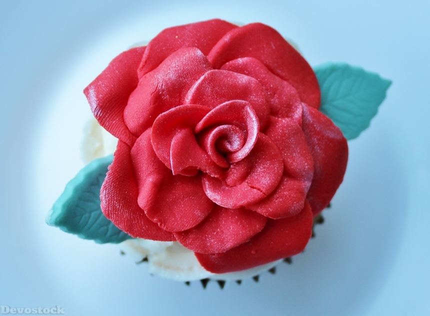 Devostock dessert-tart-wedding-cake-cupcake-47072.jpeg