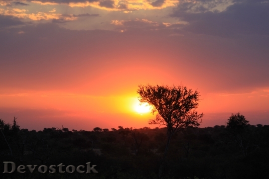 Devostock Africa Sun Holiday Safari