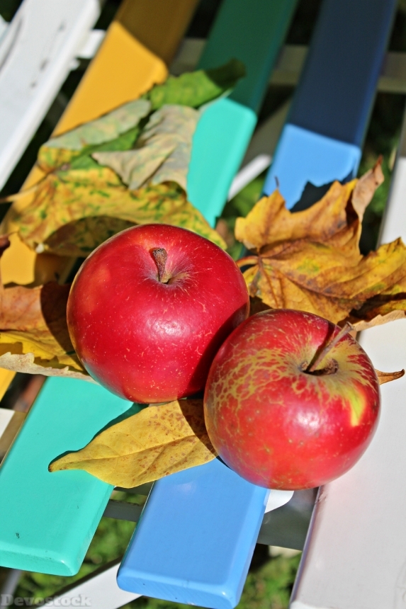 Devostock Apple Autumn Fruit Nature