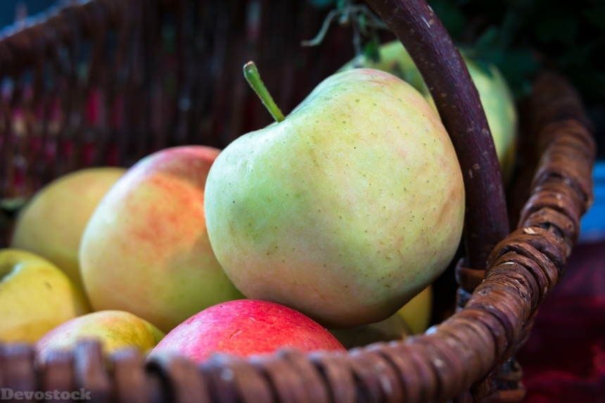 Devostock Apple Basket Thanksgiving Fruit