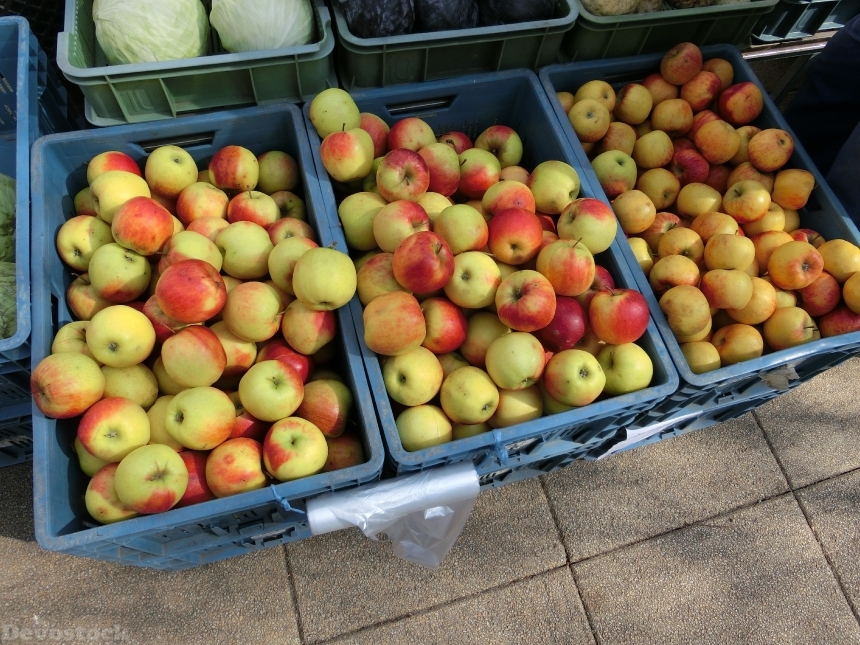 Devostock Apple Crates Market Healthy