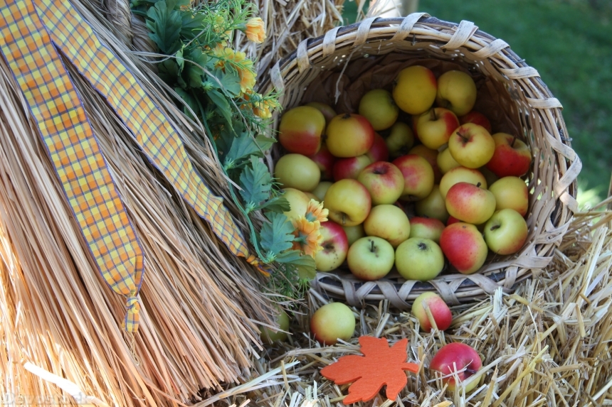 Devostock Apple Customs Fruit Tradition