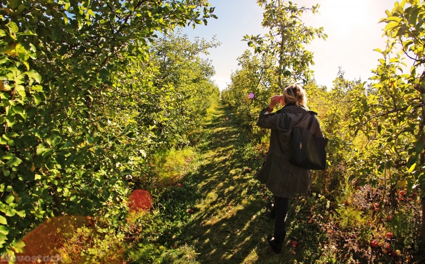 Devostock Apple Farm Girl Walk