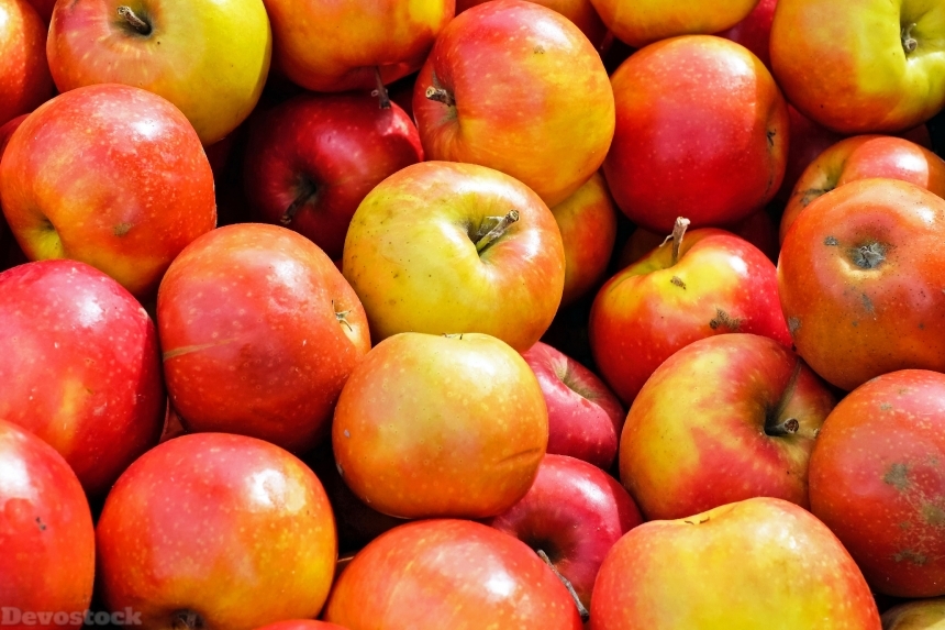 Devostock Apple Fruit Fruits Delicious 0