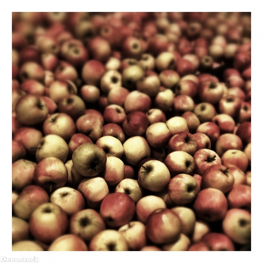 Devostock Apple Fruit Market 66581