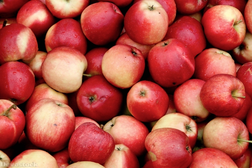 Devostock Apple Fruit Plant Fruits