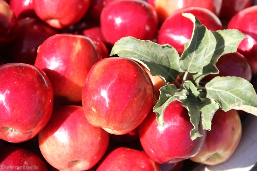 Devostock Apple Red Mature Fruit