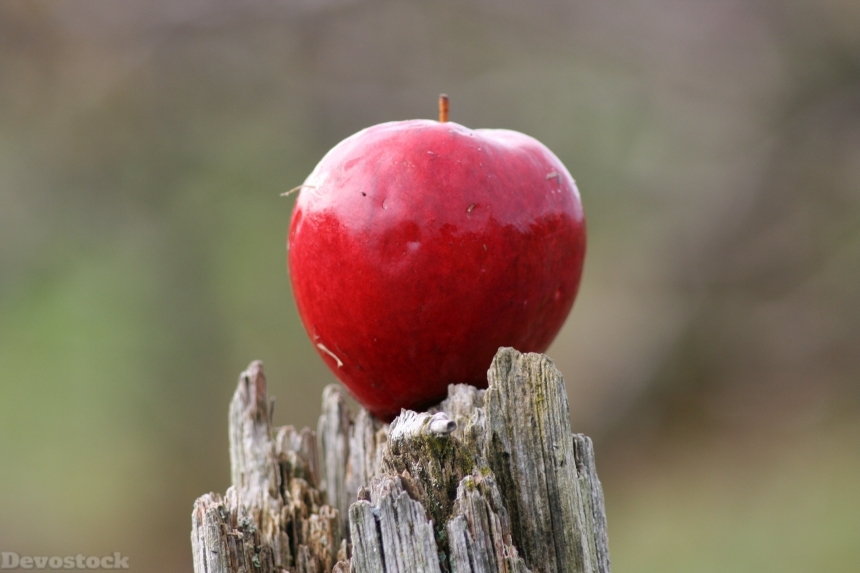 Devostock Apple Red Ripe Fruit