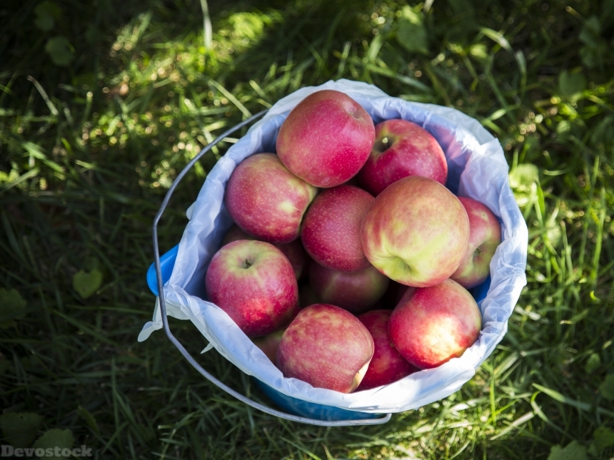Devostock Apples Basket Fruit Food 0
