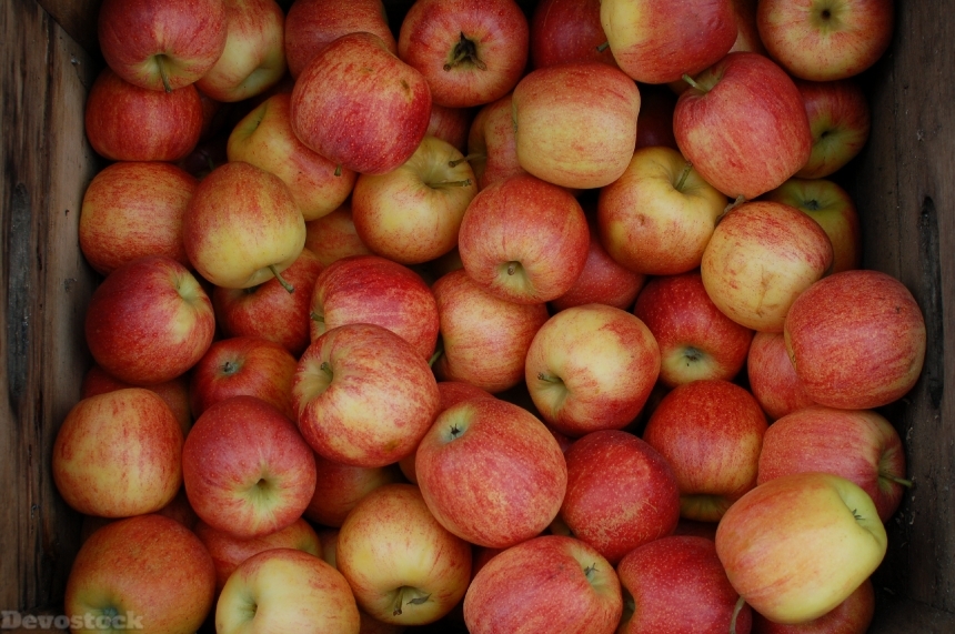 Devostock Apples Crate Orchard Fruit