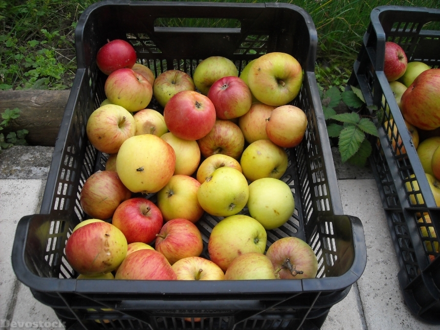 Devostock Apples Fruit Fruits Healthy
