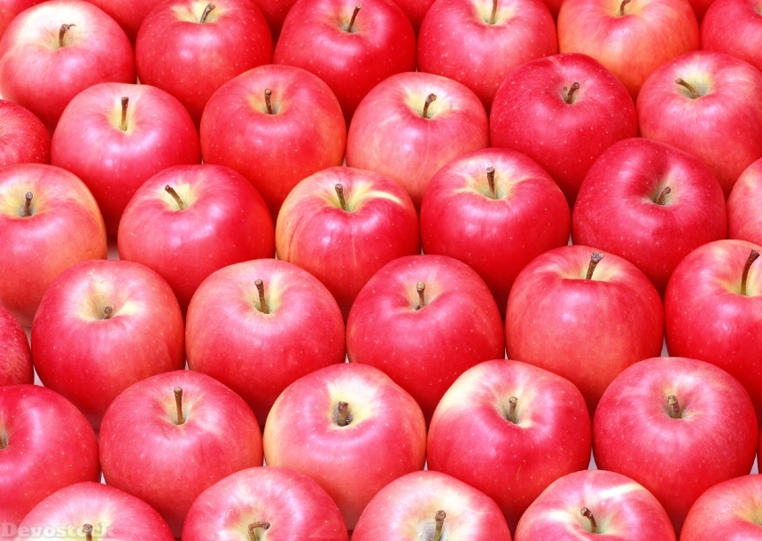 Devostock Apples In Rows