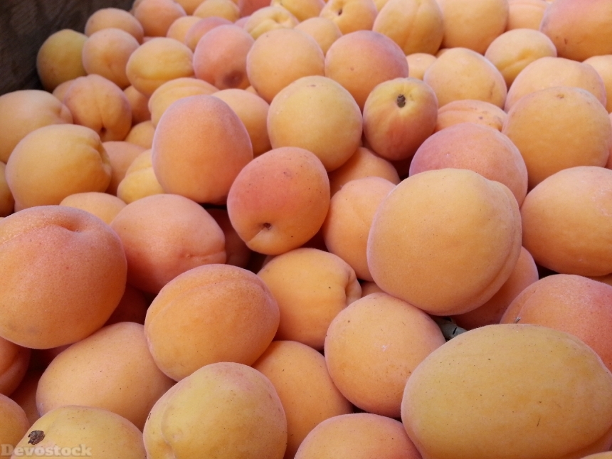 Devostock Apricot Fruit Health Healthy