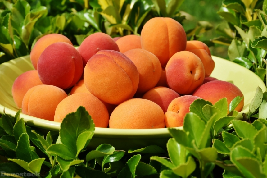 Devostock Apricots Apricot Fruit Fruits