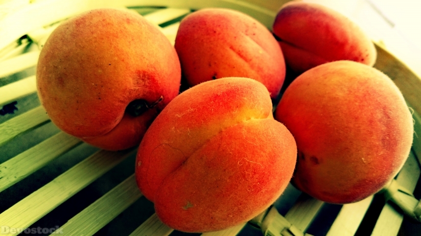 Devostock Apricots Fruits Bio 825094