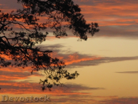 Devostock Autumn Sunset Nature Clouds