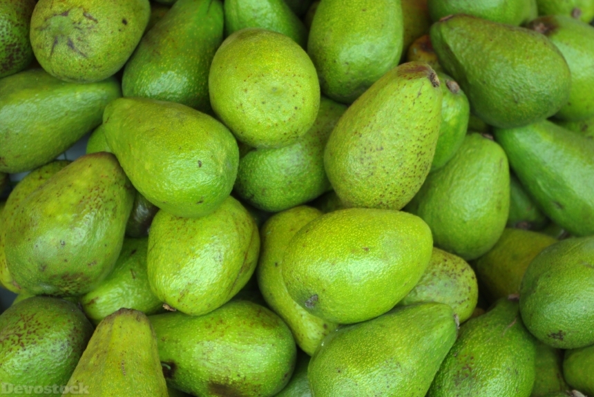 Devostock Avocado Fruit Eat Healthy
