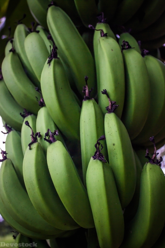 Devostock Banana Fruit Plants Food