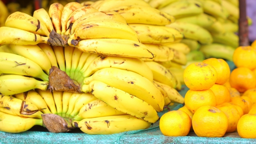 Devostock Banana Tree Gallery Fruit