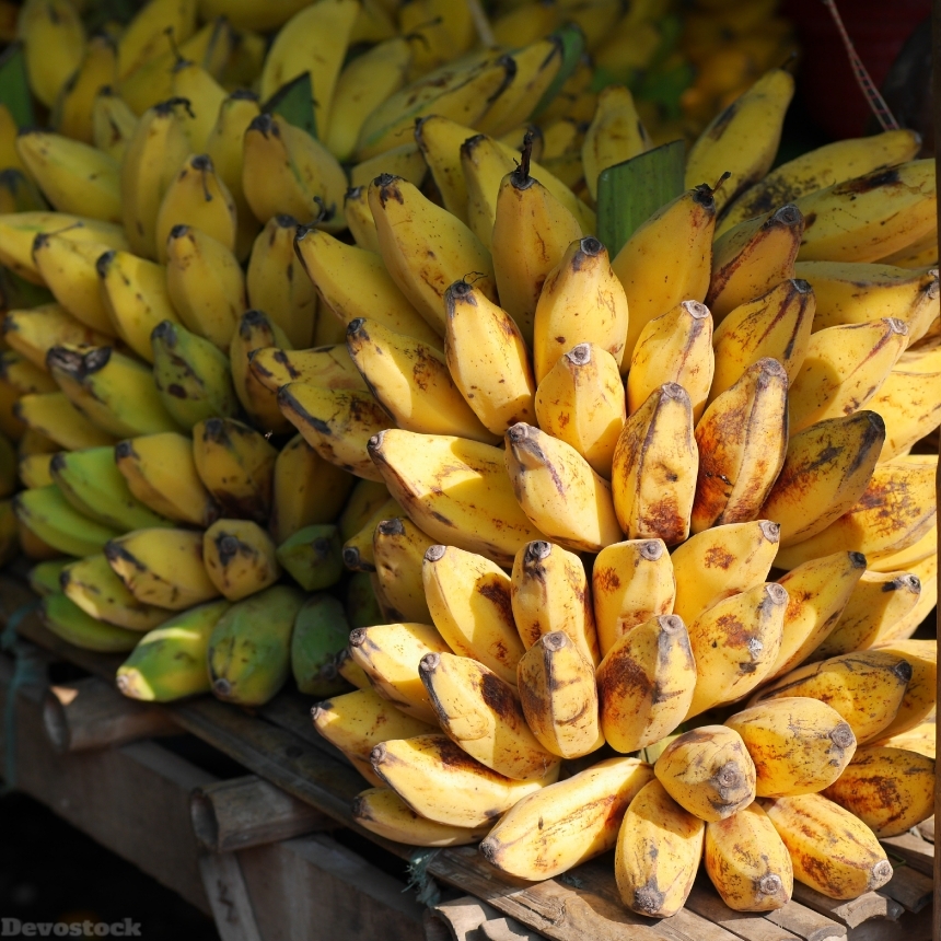 Devostock Bananas Banana Shrub Fruits