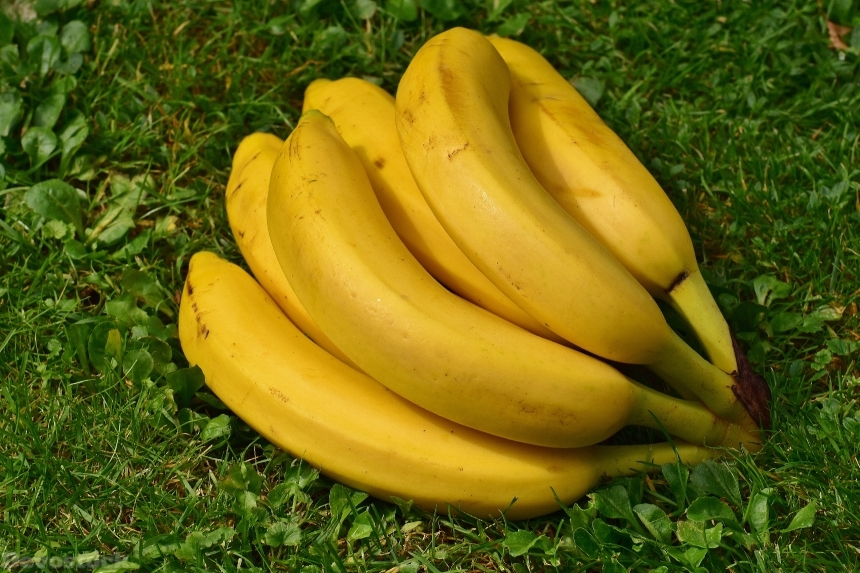 Devostock Bananas Fruits Fruit Healthy 5
