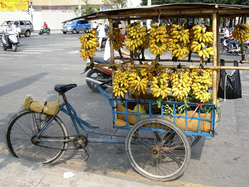 Devostock Bananas Trade Bicycle Viet