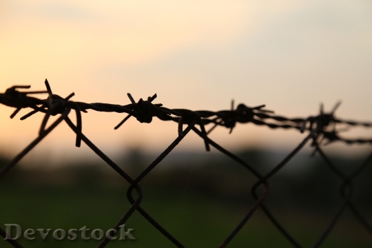 Devostock Barbed Wire Sunset Wire