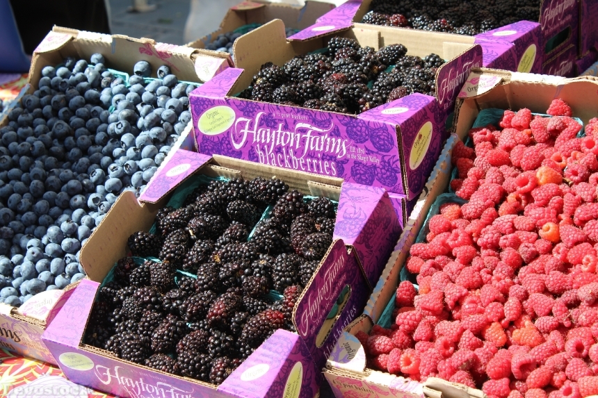 Devostock Berries Blueberries Blackberries 1326973