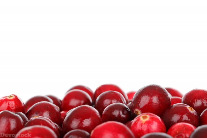 Devostock Berry Cranberry Diet Eating