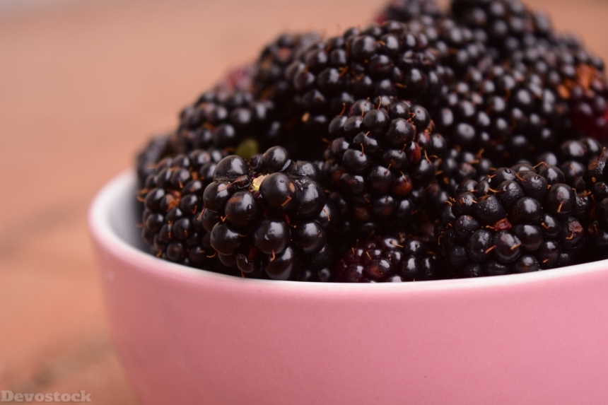 Devostock Blackberries Bowl Macro Fruit