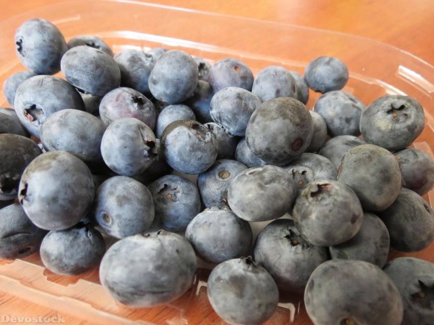 Devostock Blueberries Berries Fruit Jagoda 0