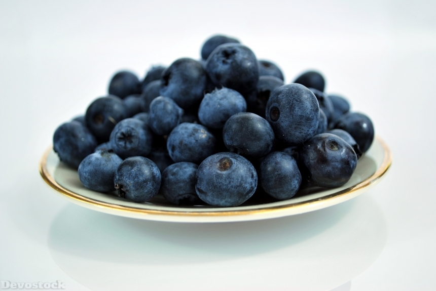 Devostock Blueberries Berries Fruit Jagoda