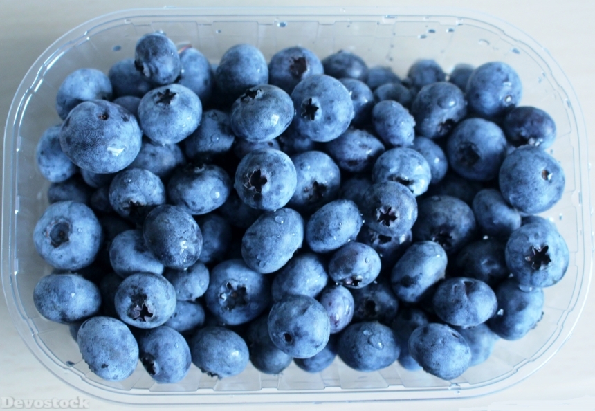 Devostock Blueberries Berries Fruits Vitamins