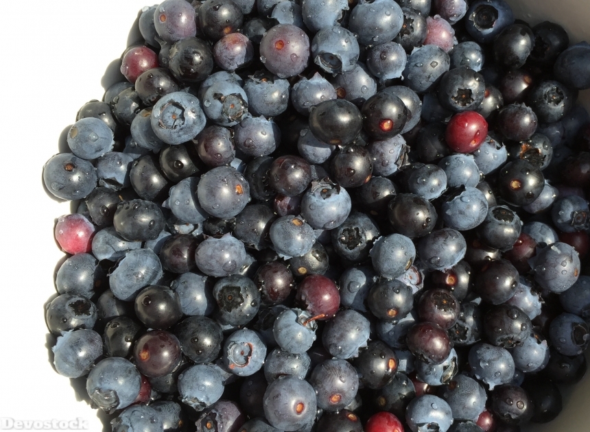 Devostock Blueberries Berry Fruits Vitamins