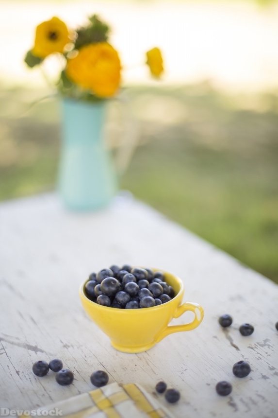 Devostock Blueberries Bowl Snack Fruit