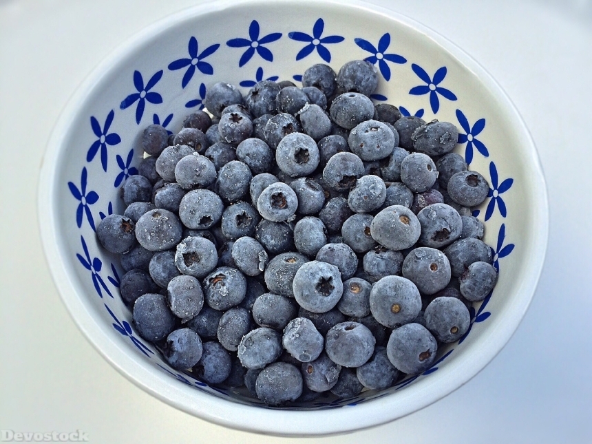 Devostock Blueberries Fruit Bowl Frozen