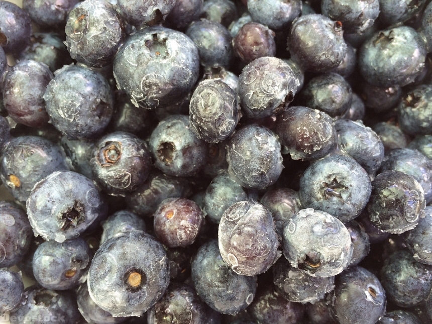Devostock Blueberries Fruit Frozen Berry