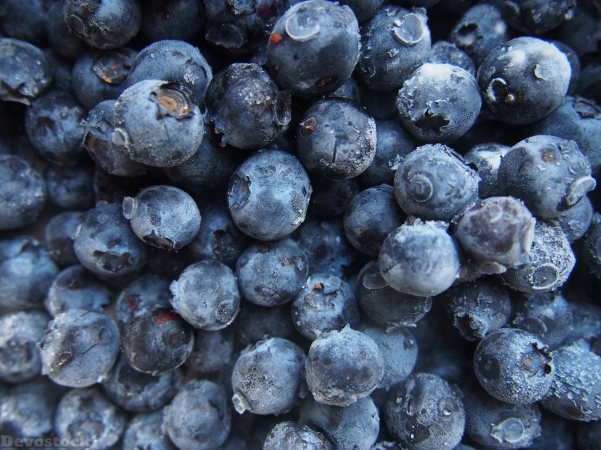 Devostock Blueberries Fruits Food Healthy