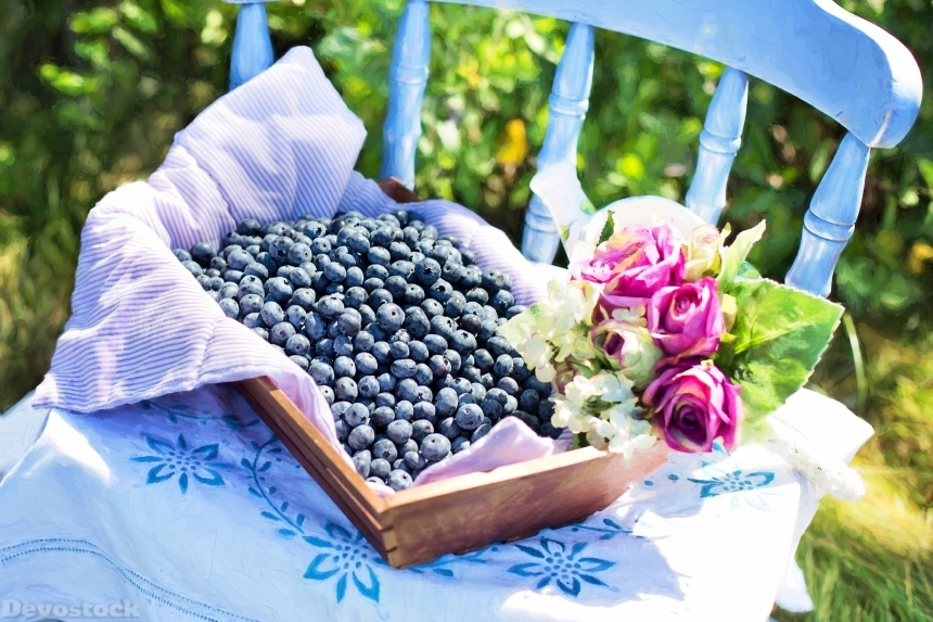 Devostock Blueberries Summer Fruit Healthy 0
