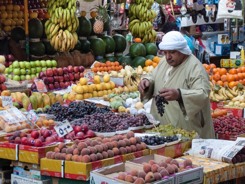 Devostock Cairo Fruit Fruits Plants