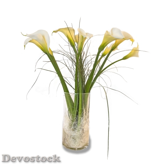 Devostock Callas Flowers Cluster Vase