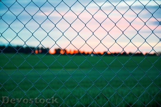 Devostock Chainlink Fence Field Grass